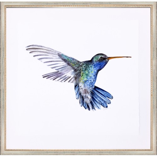 CD- HUMMINGBIRD 1